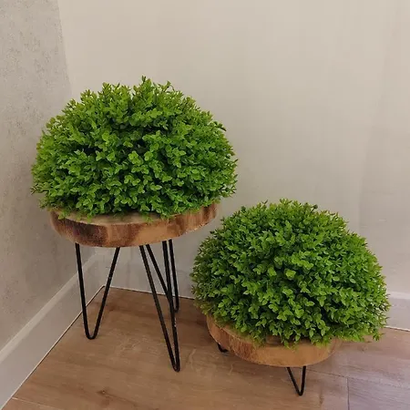 Town Square Ζαντάρ