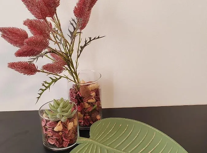 Apartman Town Square Zadar