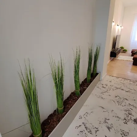 Town Square זאדאר