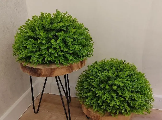 Town Square Задар